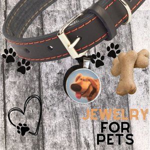 Disney Pet Tag from the Movie Up